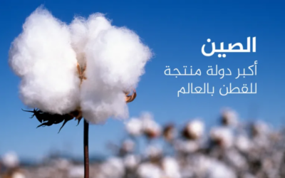 أكبر 10 دول منتجة ومصدرة للقطن في العالم.. بينها إسلامية